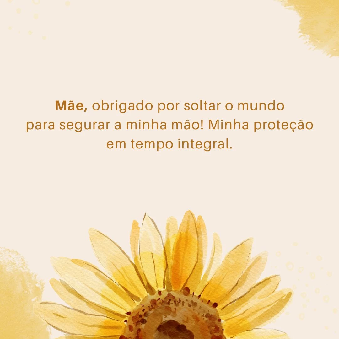 Mãe, obrigado por soltar o mundo para segurar a minha mão! Minha proteção em tempo integral.